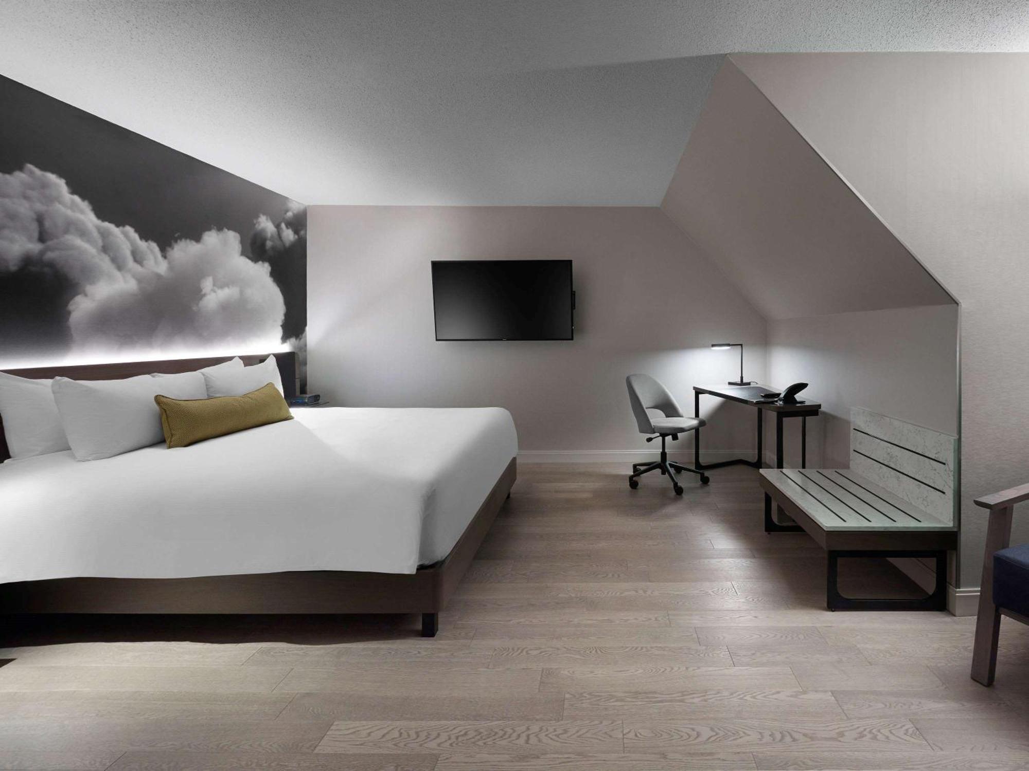 Executive Junior Suite,1716996556:JPEG