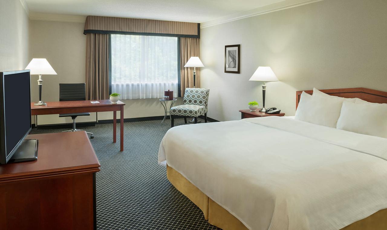 King Room,757567918:JPEG