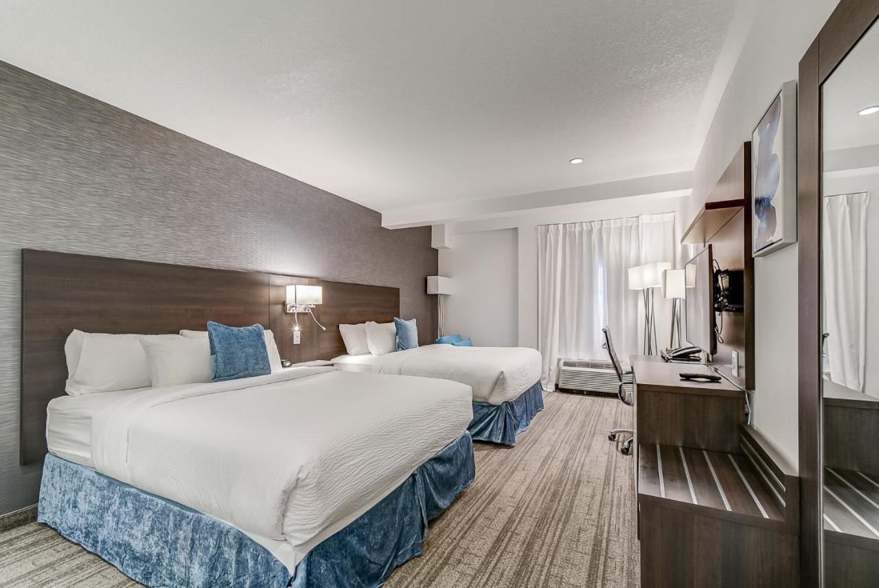 Studio 2 Queen Beds,765795091:JPEG